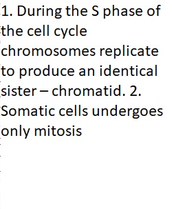 Quiz 2 Bonus